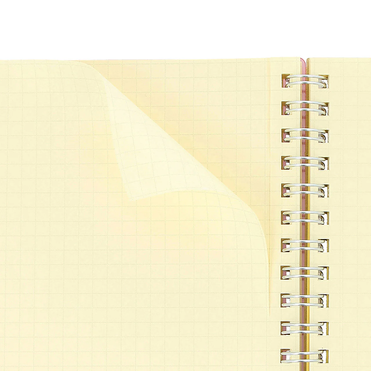 Rollbahn Large Spiral Notebook Clear - Image 14