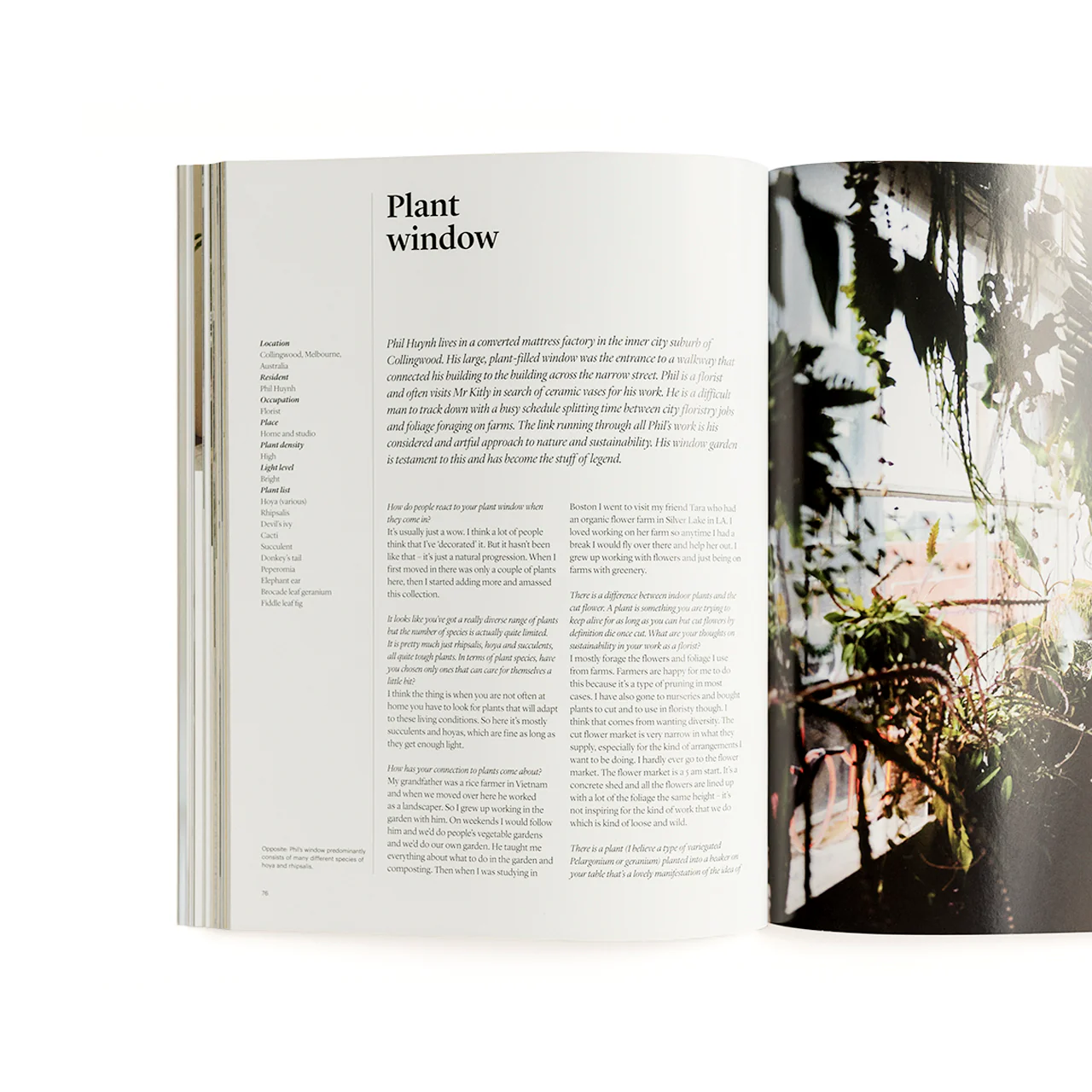 Indoor Green: Living with Plants - Image 3
